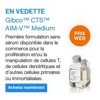 produit en vedette