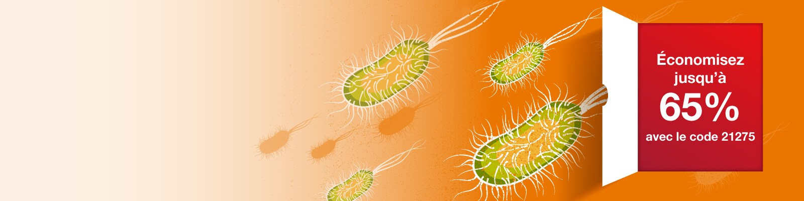 Transformation d'E.coli bannière