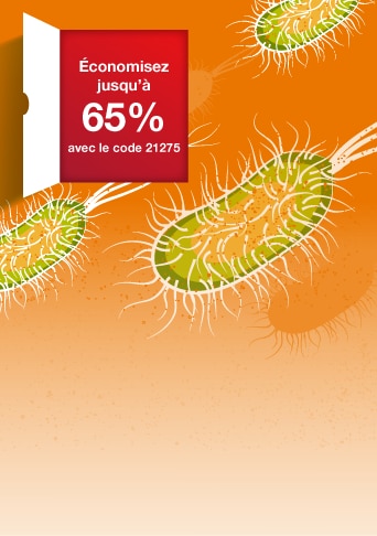 E.coli Transformation bannière