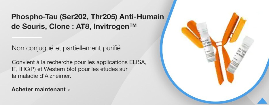 Phospho-Tau (Ser202, Thr205) Anti-Humain de Souris, Clone : AT8, Invitrogen™